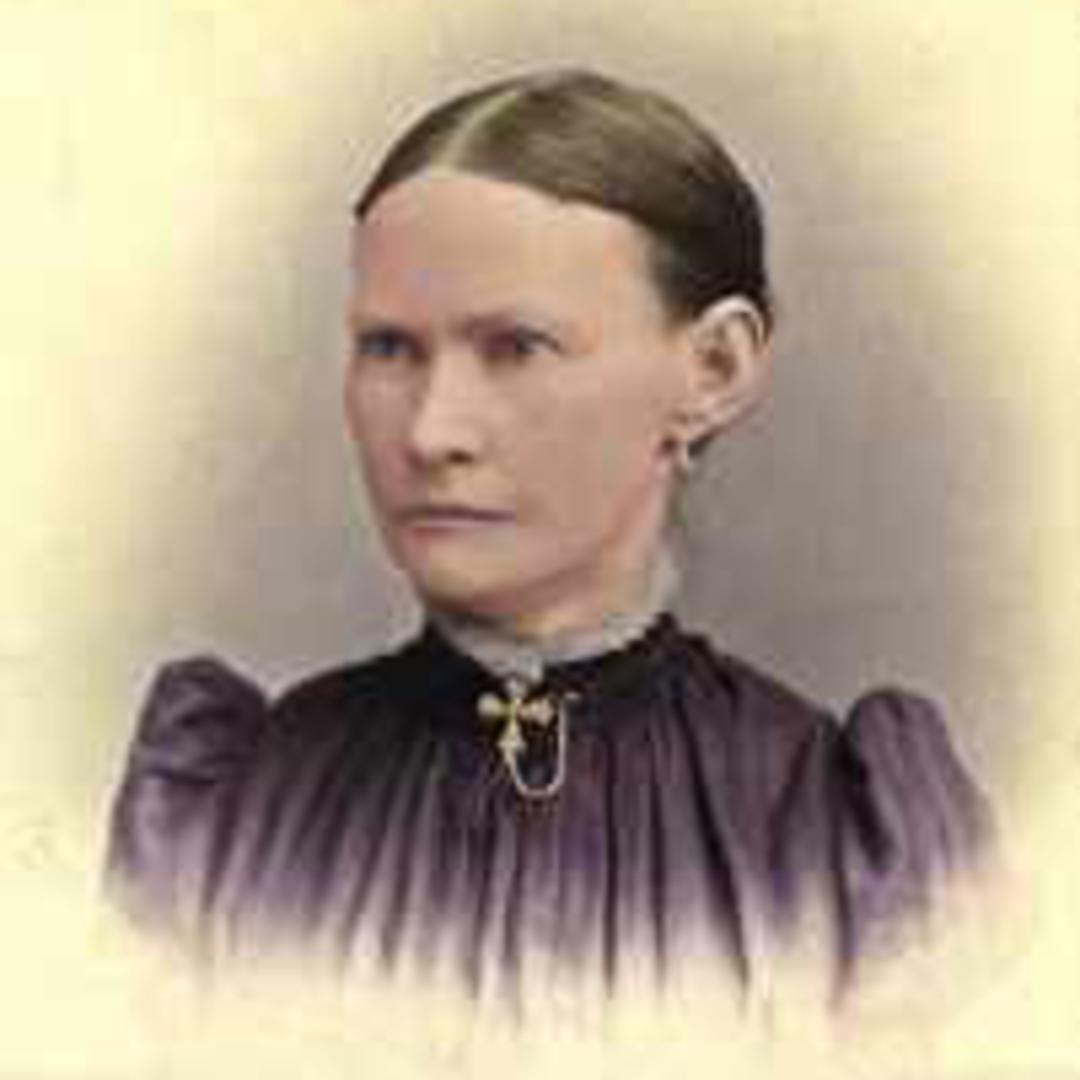 Ann Julina Boley (1843 - 1906) Profile